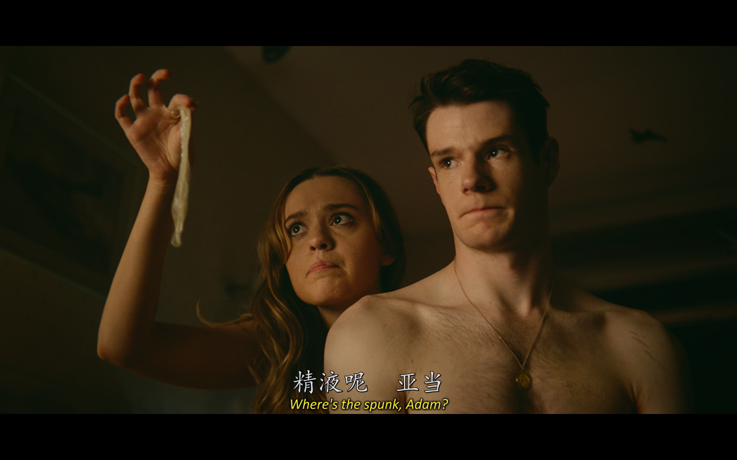 性爱自修室(S01-S04合集)【WEB-DL.1080P】【内封简英特效字幕】【剧情/喜剧】【60.2GB】【cXcY@FRDS】