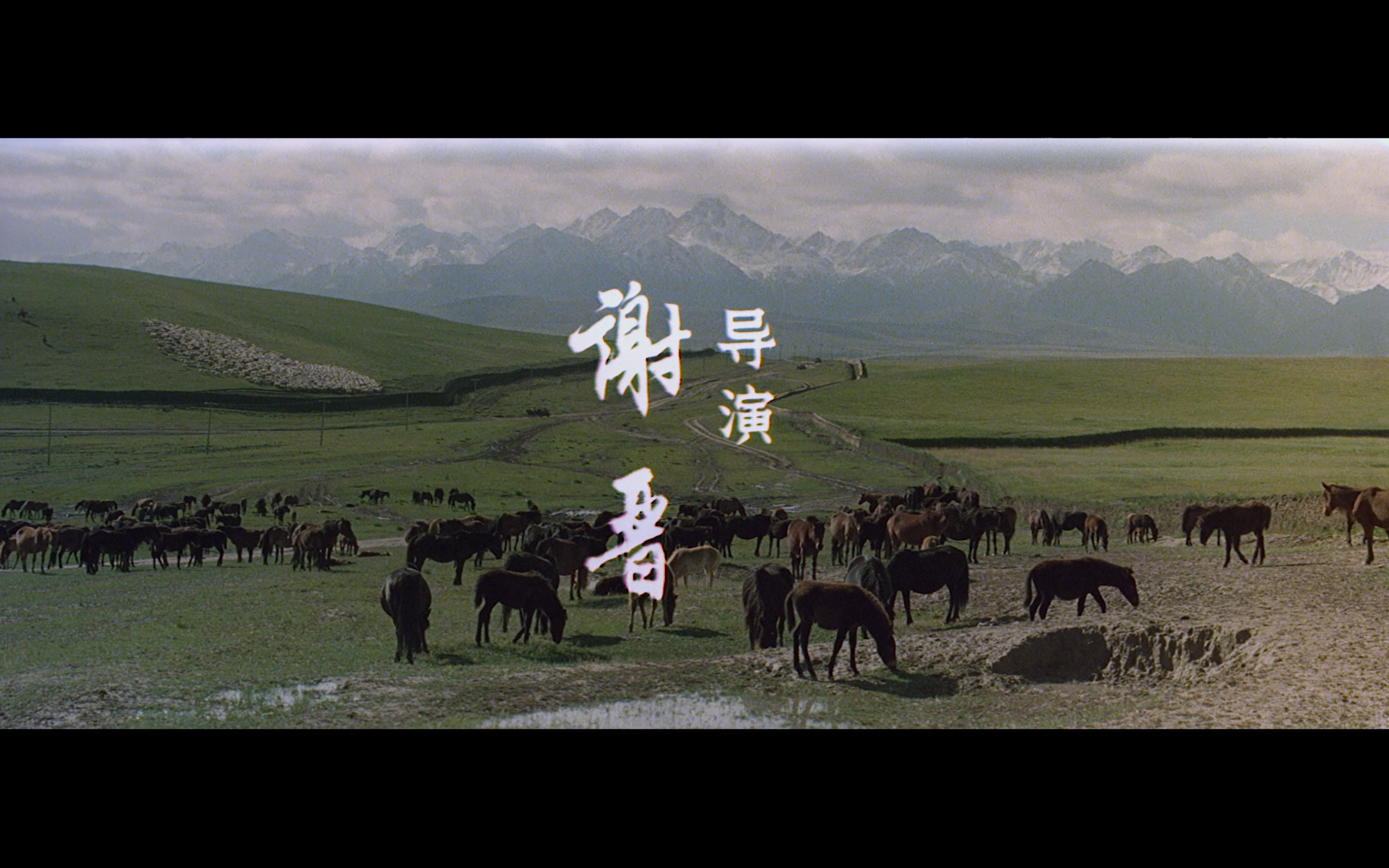牧马人(1982)【1080P.REMUX 蓝光原盘】【内封简/英字幕】【剧情】【29.1GB】
