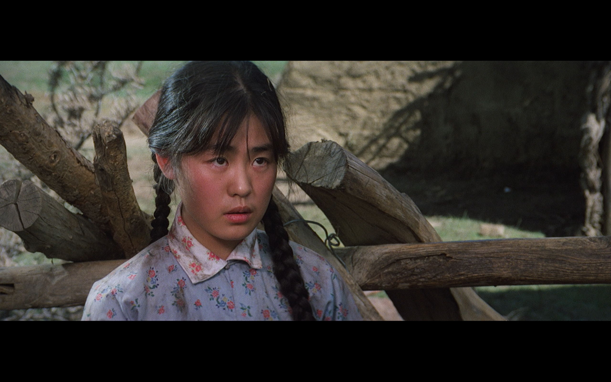 牧马人(1982)【1080P.REMUX 蓝光原盘】【内封简/英字幕】【剧情】【29.1GB】