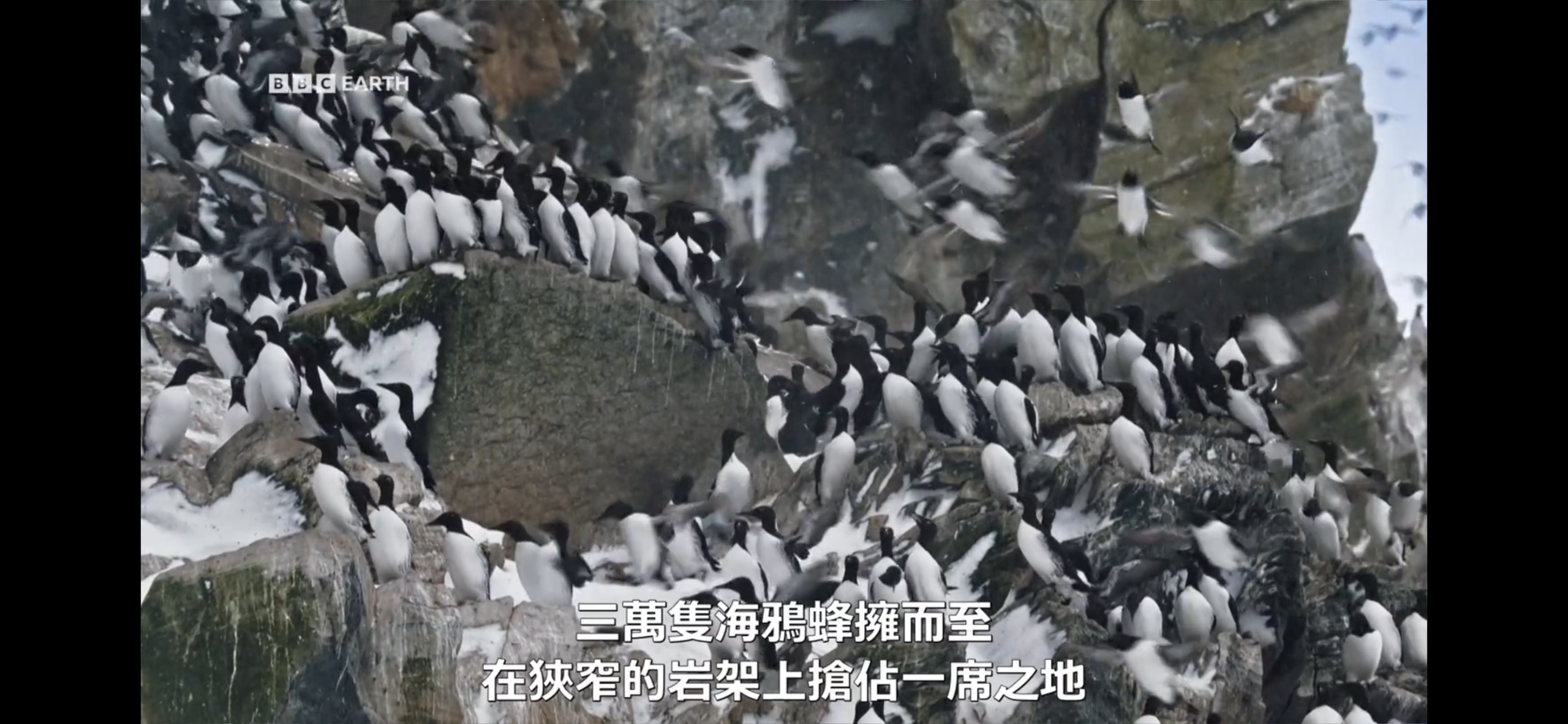 野性斯堪的纳维亚.(2023).1080P.内嵌中文字幕.【8.35G】