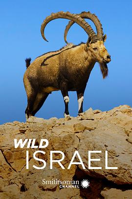 野性以色列 Wild Israel