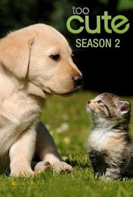 萌宠成长记 第二季 Too Cute! Season 2