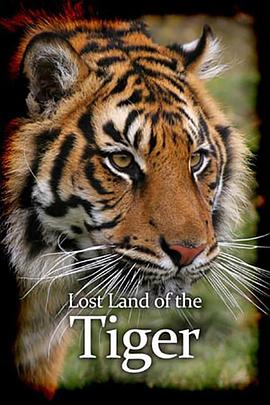 老虎失落之地 Lost Land of the Tiger