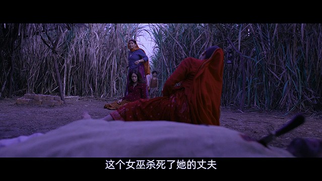 女孩.2021.印地语中字.HD1080P  [3.23G]