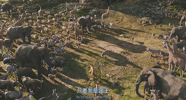 狮子王：木法沙传奇.2024.英语中英双字.2160P.4K  [9.48G]