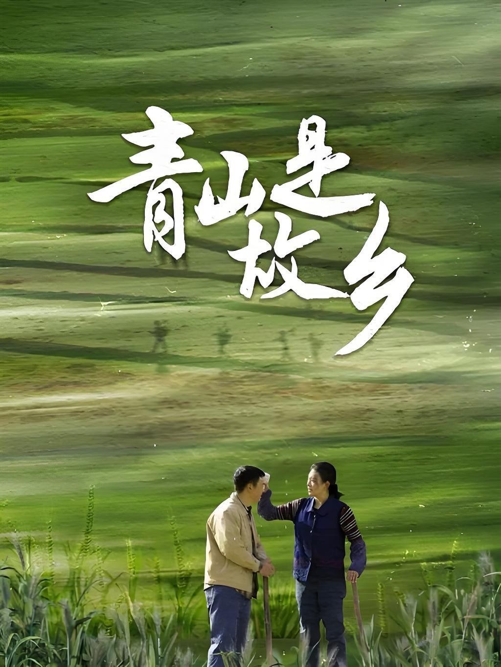 【首播04集】青山是故乡 (2025)【4K 臻彩MAX & 60FPS】【单集1GB】