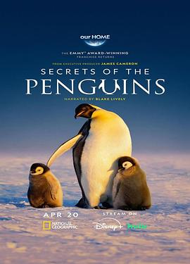 企鹅之谜 Secrets of the Penguins