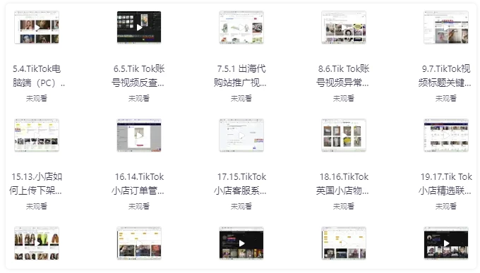 TikTok跨境短视频零基础到精通网赚变现课 【1.7GB】