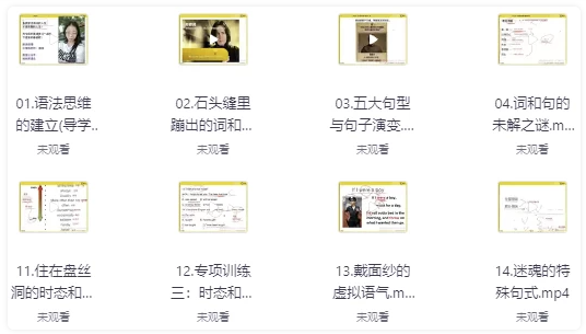 实用英语能力提升班 【41.2GB】