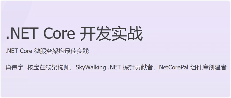 NET Core 开发实战 【21.1GB】