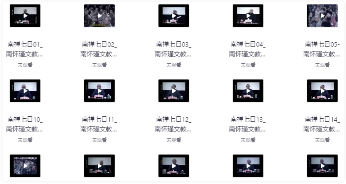 南禅七日(视频讲座+音频+文档 21集) 【23.3GB】