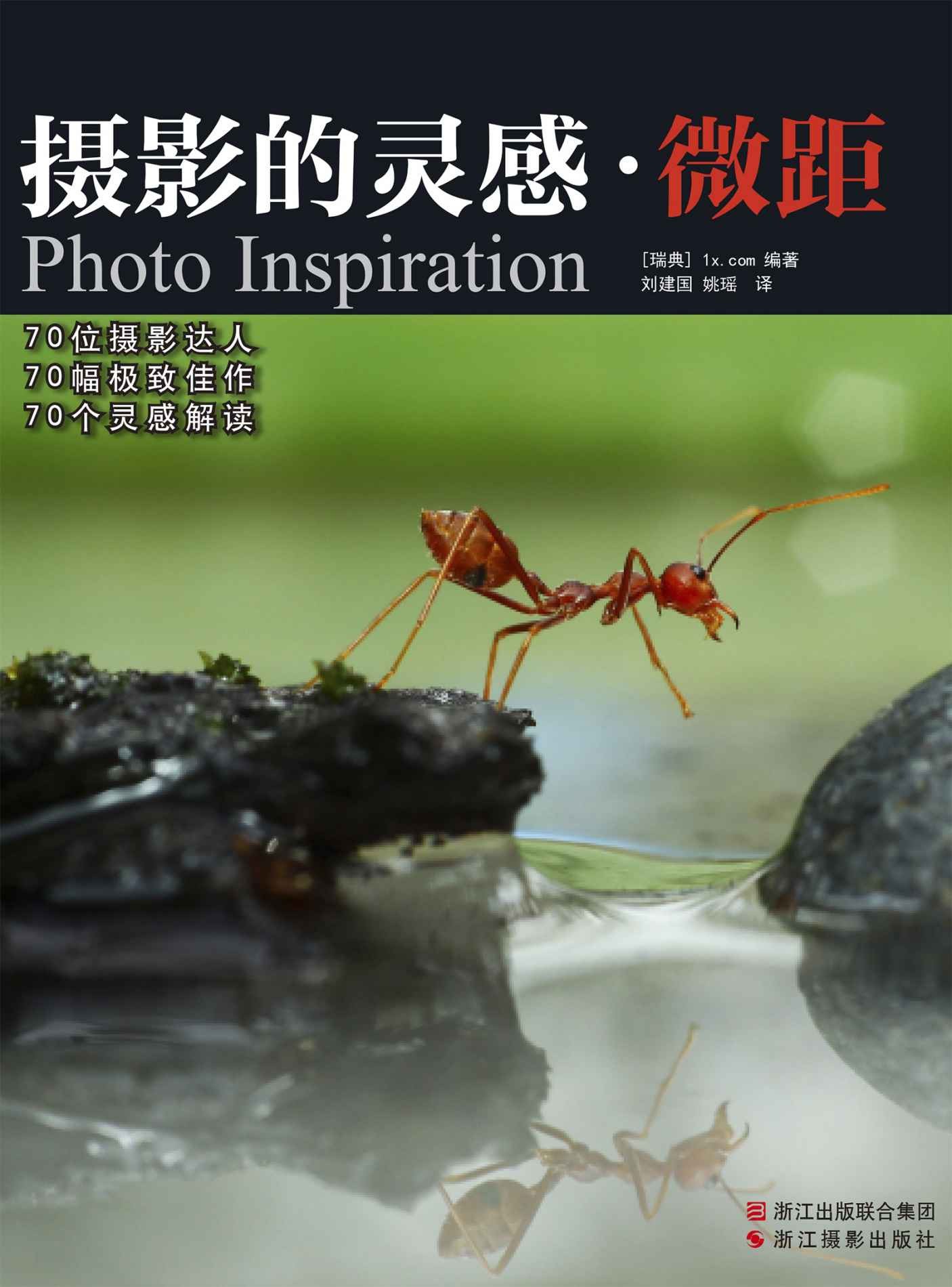 《摄影的灵感 微距》70幅绝妙的微距摄影佳作︱PDF 13.6MB