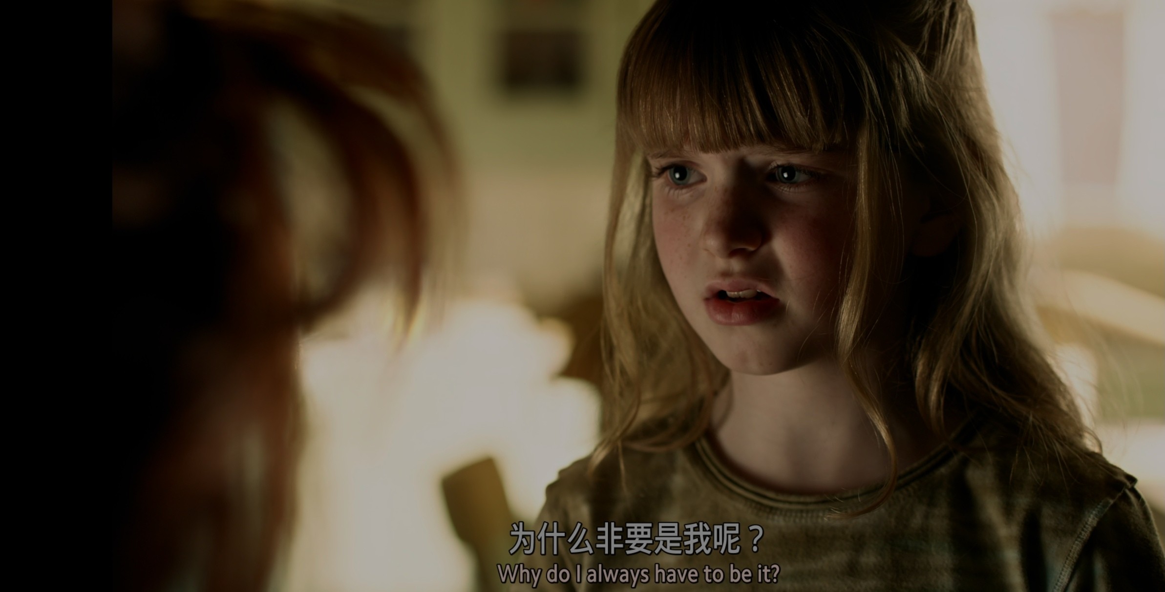 《鬼娃回魂》1-7部系列合集 4K蓝光重编码 UHD 内嵌特效字幕 （1988-2017）总共166G