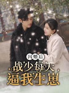 【短剧】《闪婚后战少每天逼我生崽》91集/0.8G [全集完结]