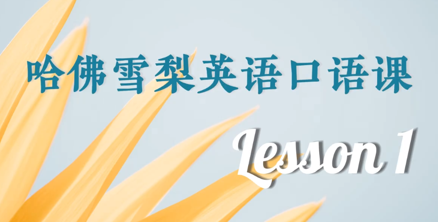 哈佛雪梨英语口语教学+场景练习【4.7GB】