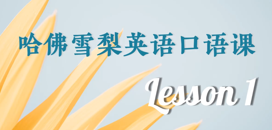 哈佛雪梨英语口语教学+场景练习 [4.7GB]