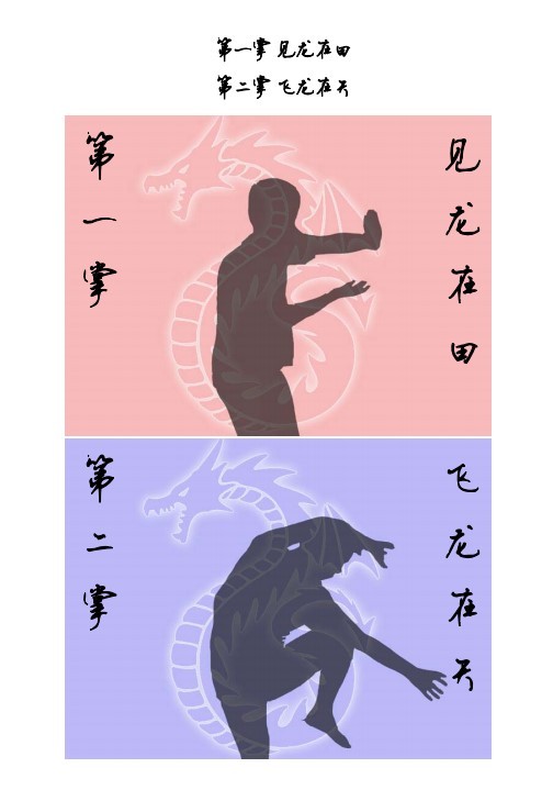 《降龙十八掌&九阴真经》 [PDF] [526KB]