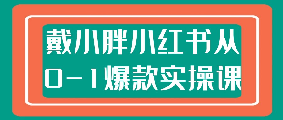 戴小胖小红书从0-1爆款实操课【13.4GB/MP4】