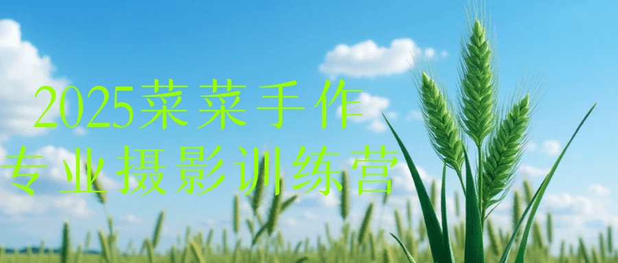 2025菜菜手作专业摄影训练营【1.2GB/MP4】