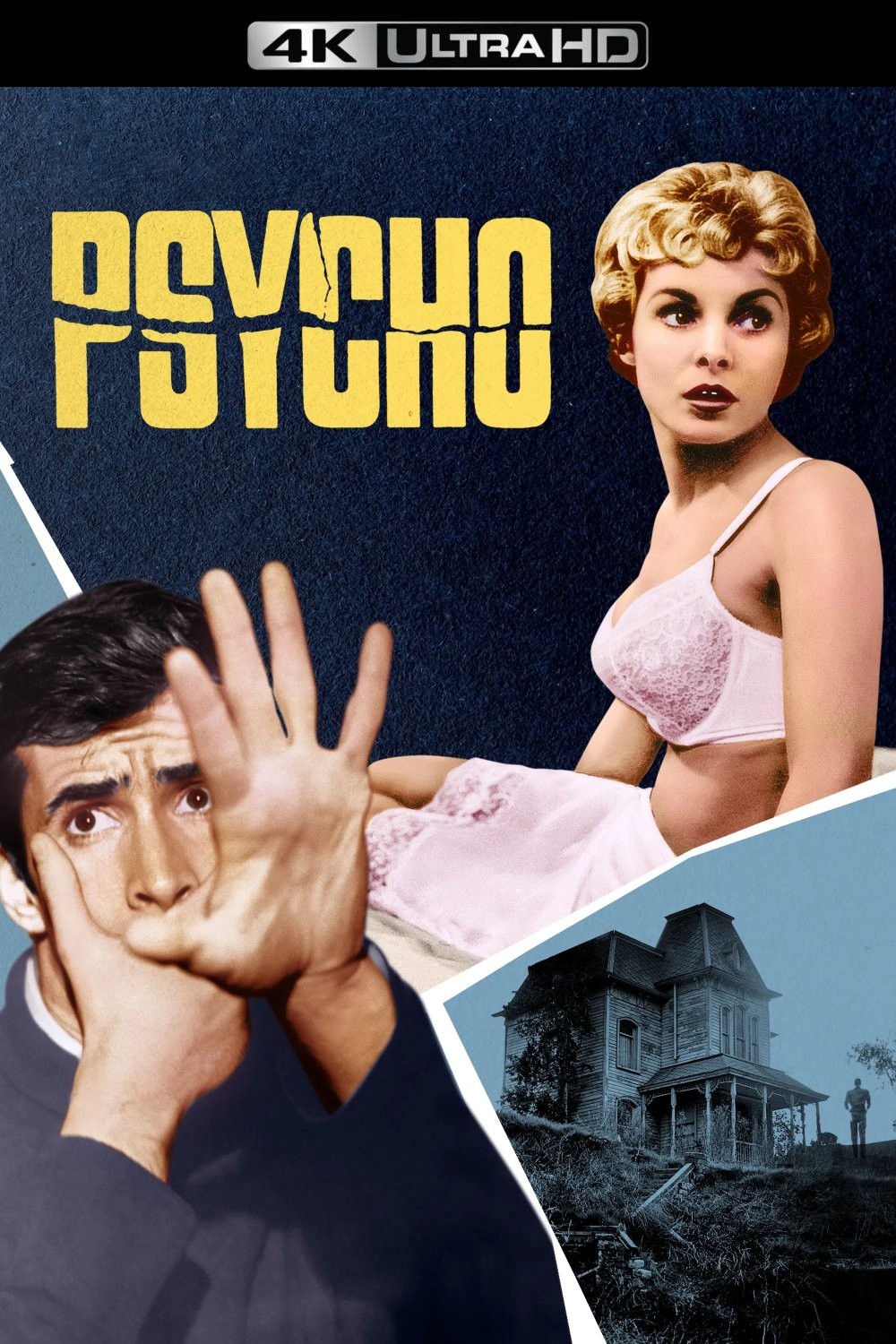 惊魂记  (1960)【4K 蓝光原盘 REMUX】HDR10【次世代临境音国英双语 + 导评中字】内封简繁英双语特效字幕  [52.8G]