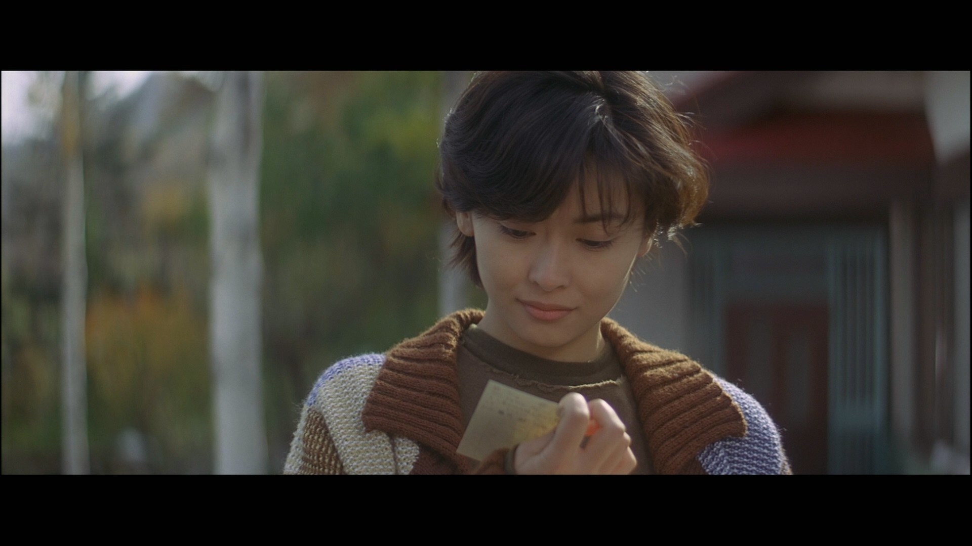 情书 (1995)【蓝光原盘REMUX】【次世代环绕声国日双音轨】 内封简繁字幕  [27.4G]