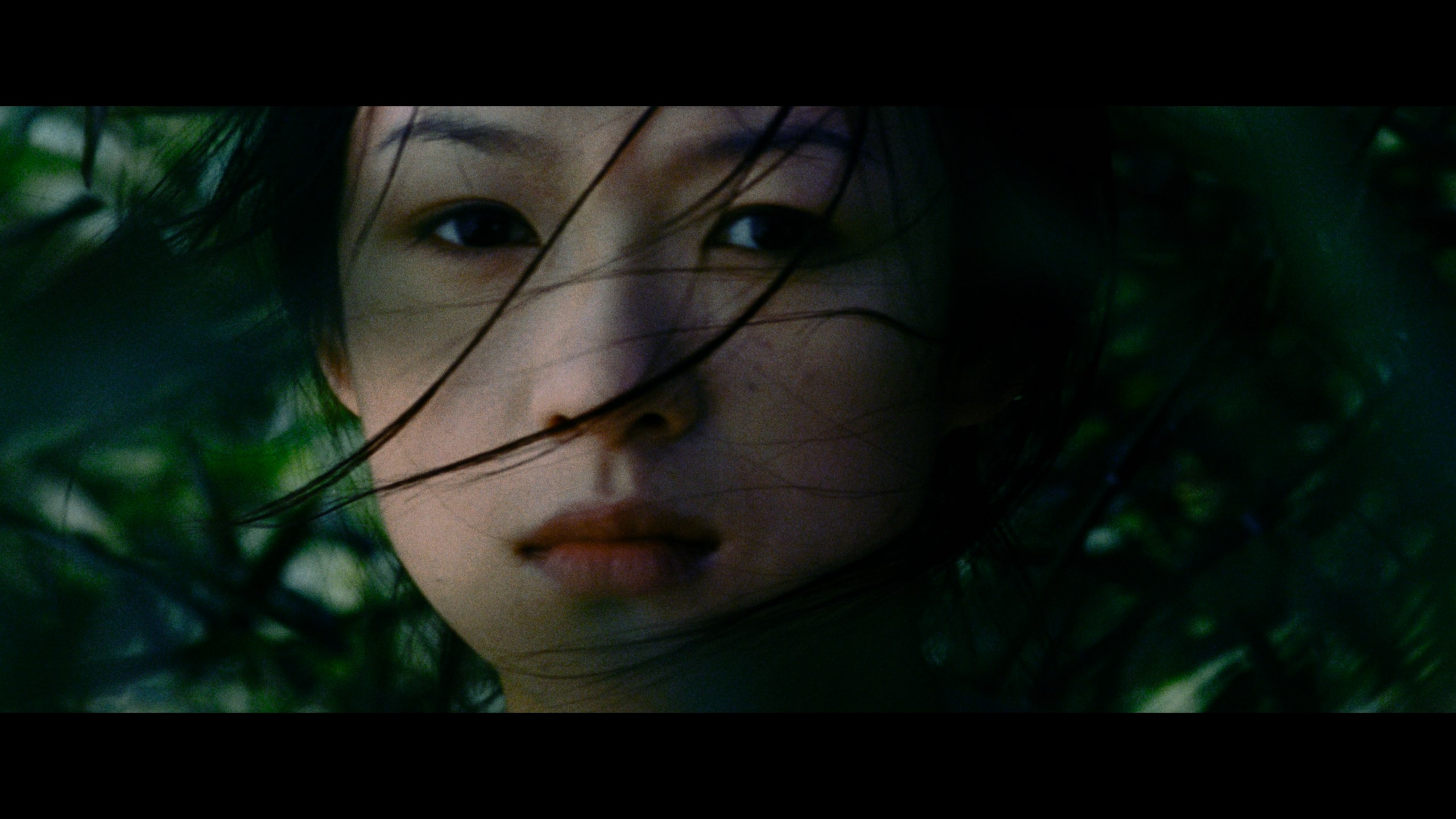 卧虎藏龙 (2000)【4K蓝光原盘REMUX】【杜比视界&杜比全景声】 内封简繁英特效字幕 [68G]