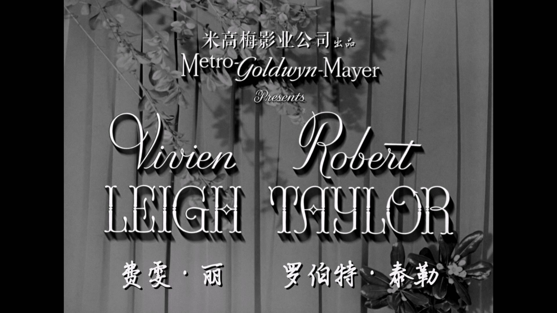 魂断蓝桥 (1940)【蓝光原盘REMUX】【次世代国英双语】内封简繁英双语特效字幕 [29.8G]