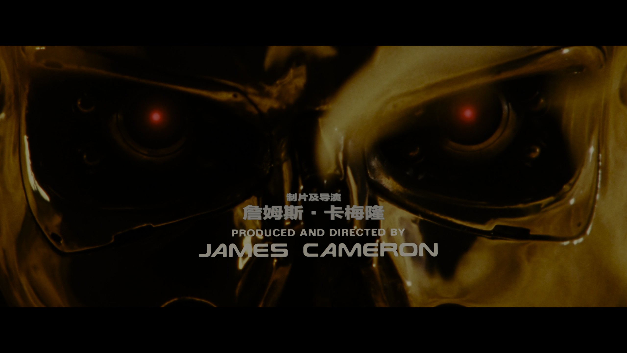 终结者2-审判日（1991）【4K蓝光原盘REMUX】 HDR10【次世代环绕声国英双语】内封简繁英双语特效字幕  [88.3G]