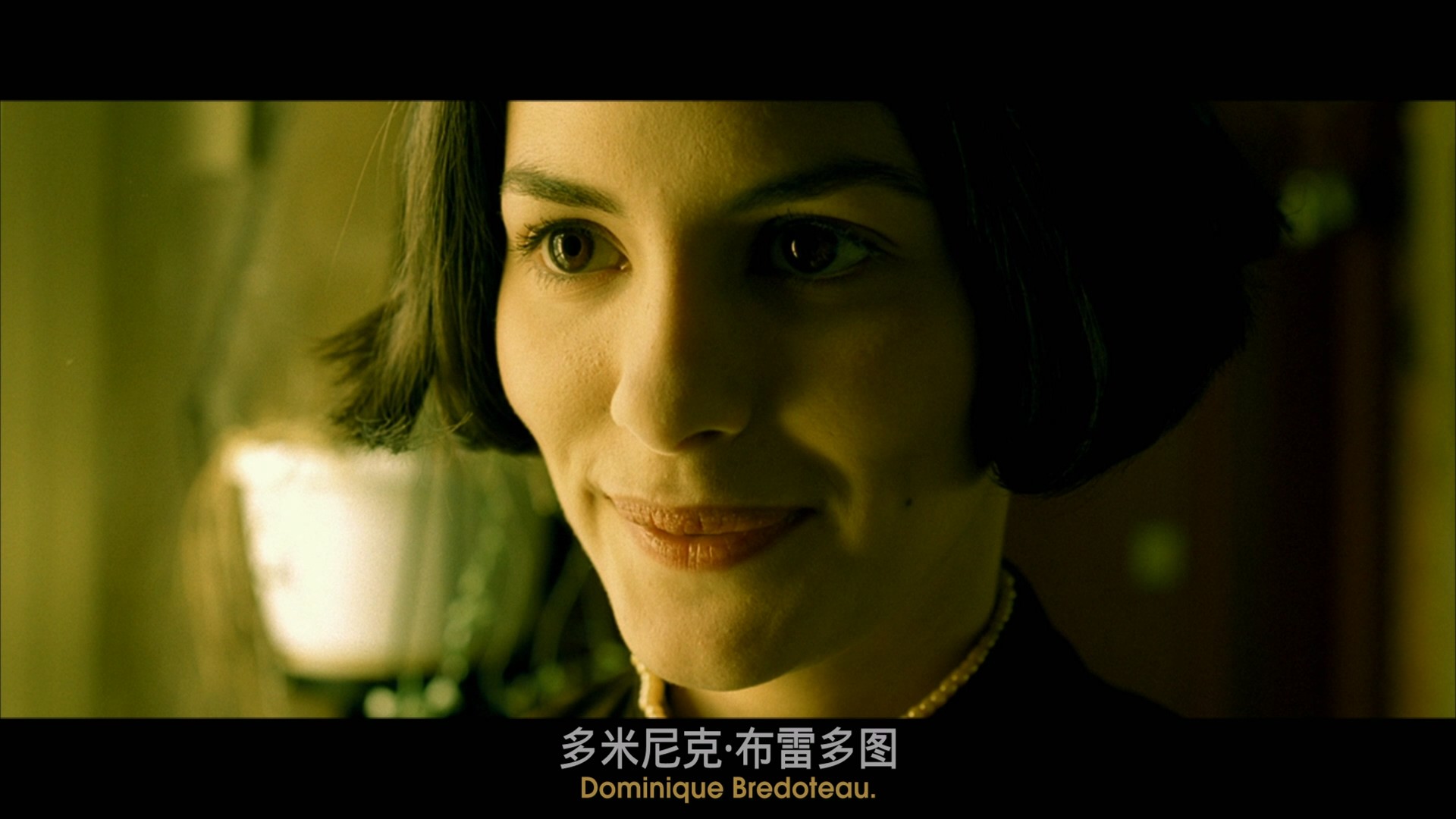 天使爱美丽 (2001)【蓝光原盘REMUX】【次世代环绕声央视国配&原生法语】内封简繁法双语特效字幕 [37.5G]