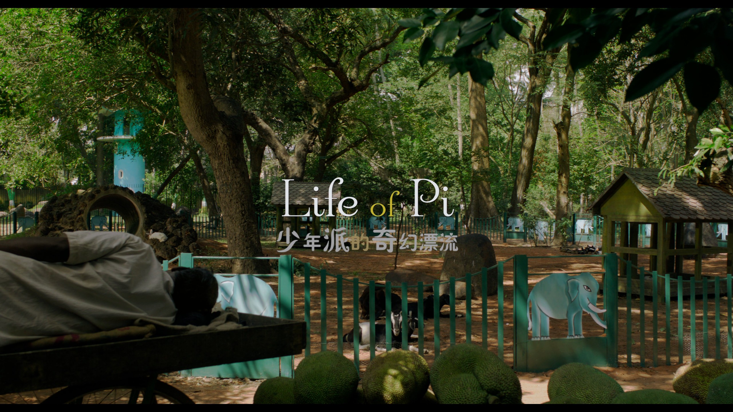少年派的奇幻漂流 (2012)【4K蓝光原盘REMUX】HDR10【次世代环绕声国英双音轨】内封简繁英双语特效字幕 [50.5G]