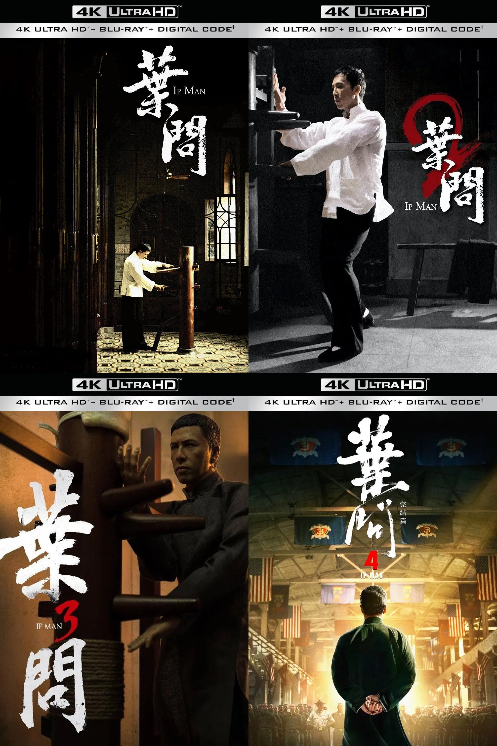 叶问 1-4合集【4K蓝光原盘REMUX】【杜比视界&杜比全景声国粤双音轨】内封简繁字幕  [202.2G]