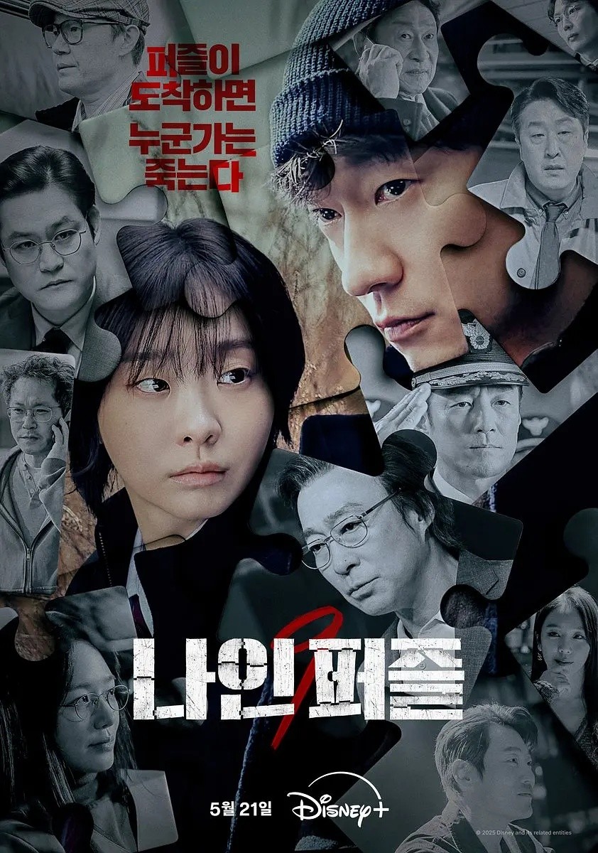 血谜拼图(2025)【更06/12集】【WEB-1080P】【内封简繁英】【惊悚/犯罪】【孙锡久/黄政民/金多美】【2GB/集】
