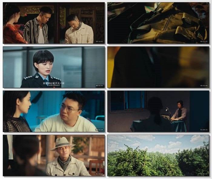 猎毒风暴.2025.国语中英双字.1080P  [1.51G]