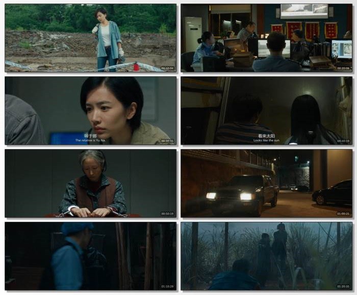 怒水西流.2025.国语中英双字.1080P [1.23G]