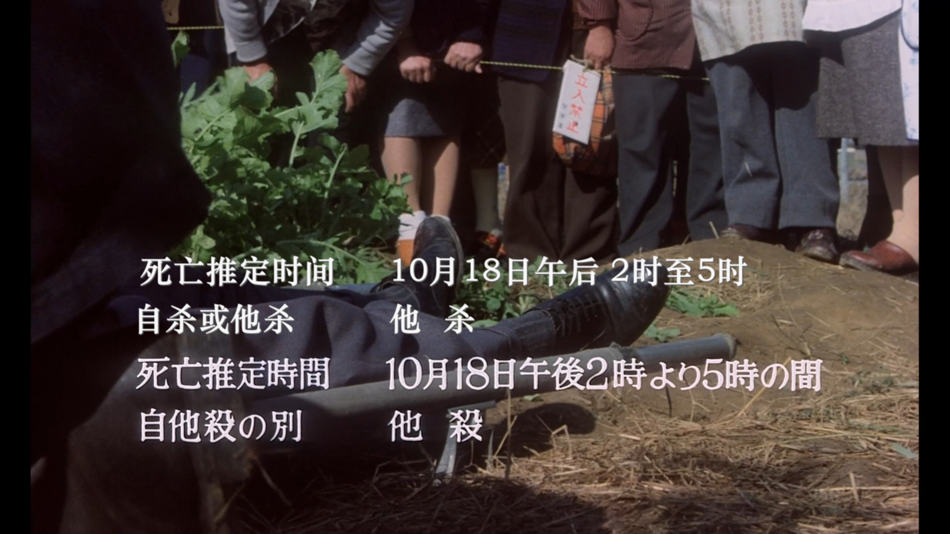 复仇在我(1979)【1080p / 蓝光原盘 / REMUX】【英日双语】【简繁特效字幕】【35.6G】