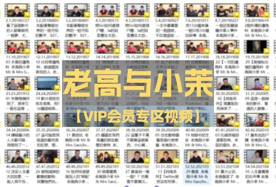「老高与小茉」会员专区视频