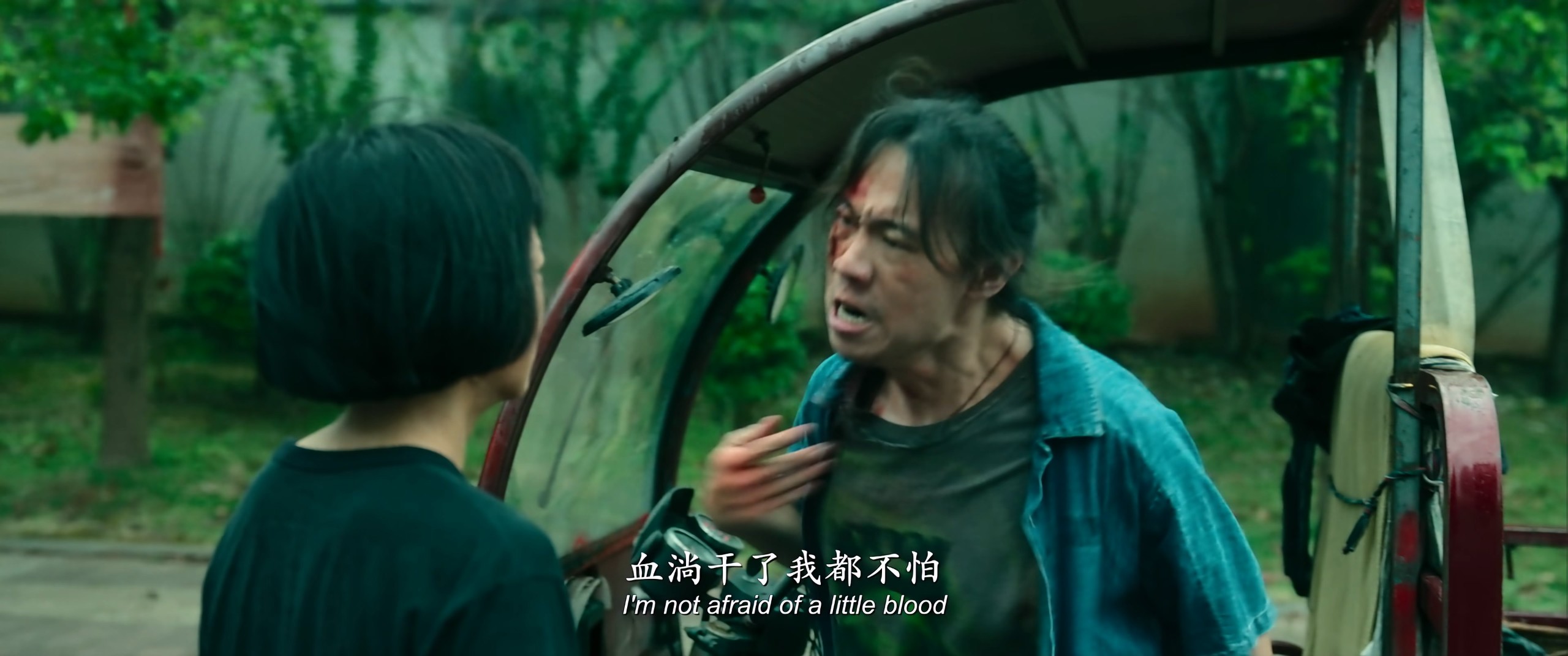 向阳·花 (2025)【4K / EDR / 高码率】【DTS环绕声】【内嵌简英】【11GB】【赵丽颖 / 兰西雅】* 向阳花 / 出狱女子的故事*