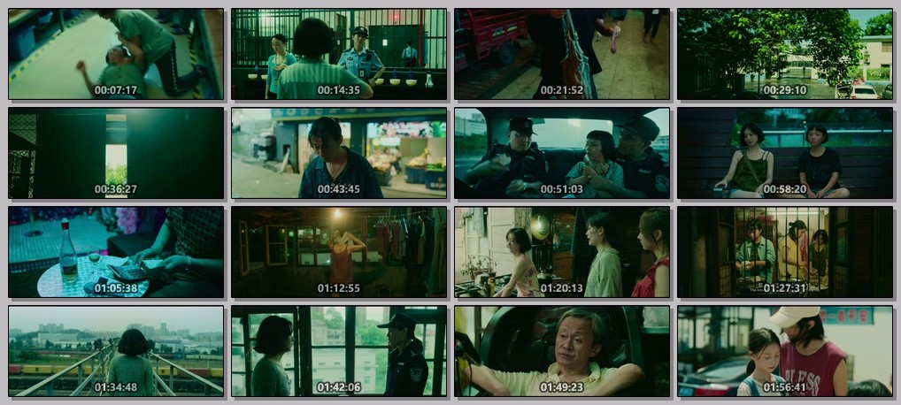 向阳·花 (2025)【4K 臻彩MAX＋ & HDR Vivid 60FPS】【DTS环绕声】【内嵌简英】【14GB】【赵丽颖/兰西雅】