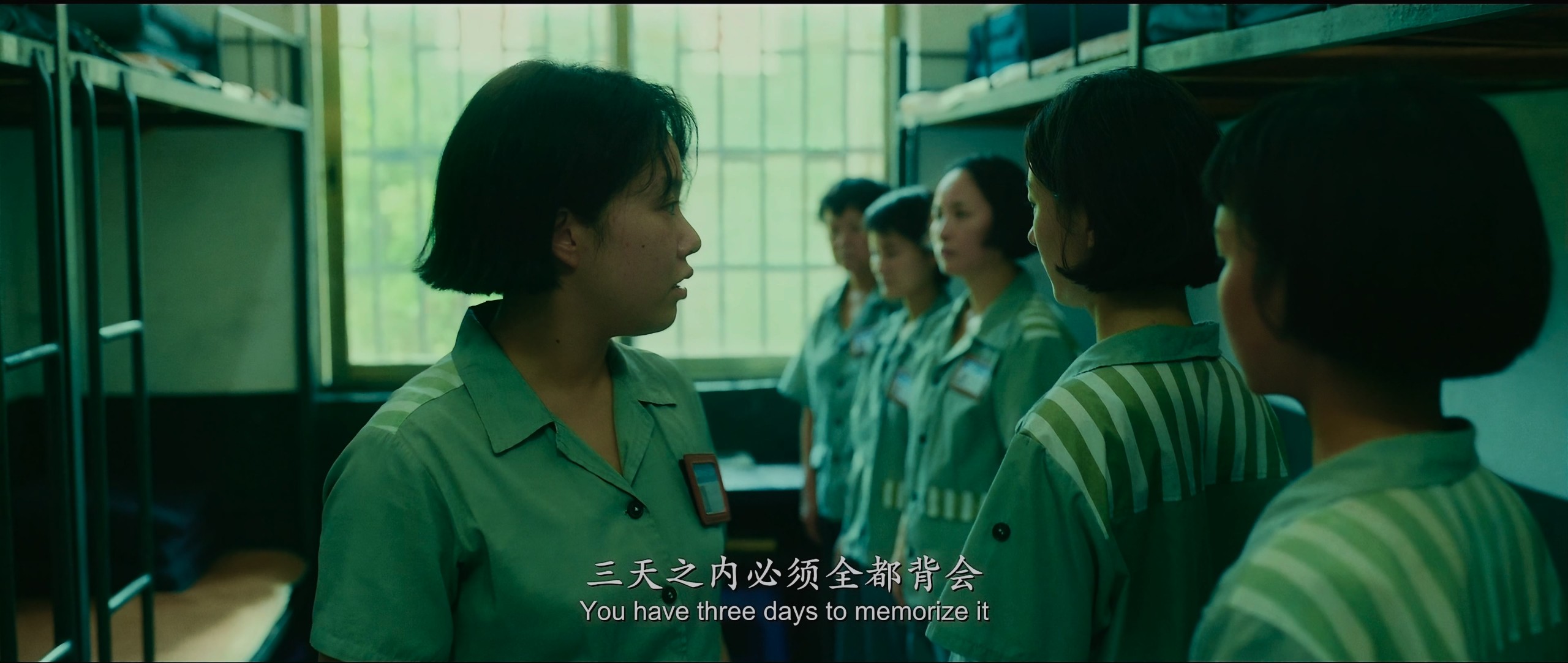 向阳·花 (2025)【4K 臻彩MAX＋ & HDR Vivid 60FPS】【DTS环绕声】【内嵌简英】【14GB】【赵丽颖/兰西雅】