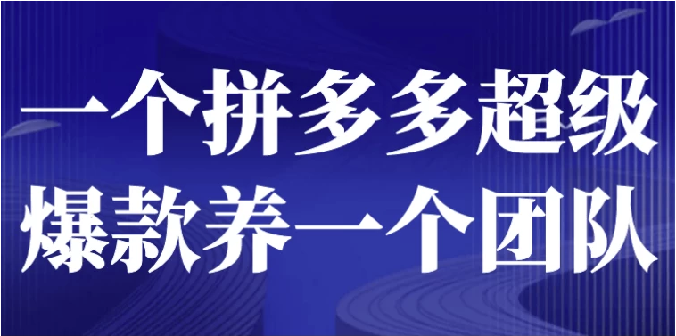 一个拼多多超级爆款养一个团队 【854MB】