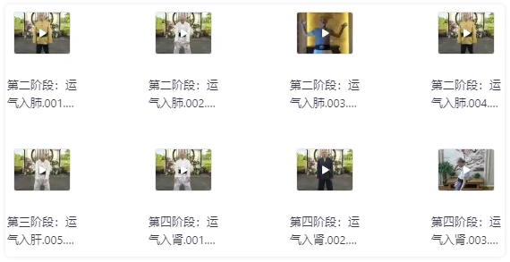 陆天龙极龄呼吸法21天养生营 【3GB】