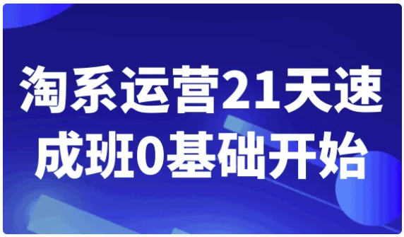 淘系运营21天速成班0基础开始 【7.3GB】