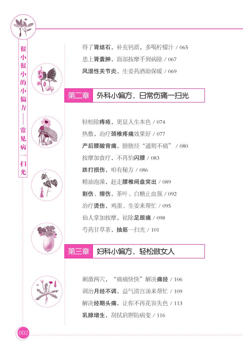 《很小很小的小偏方：常见病病一扫光》中医疗法·传统良方【PDF】【36.5MB】