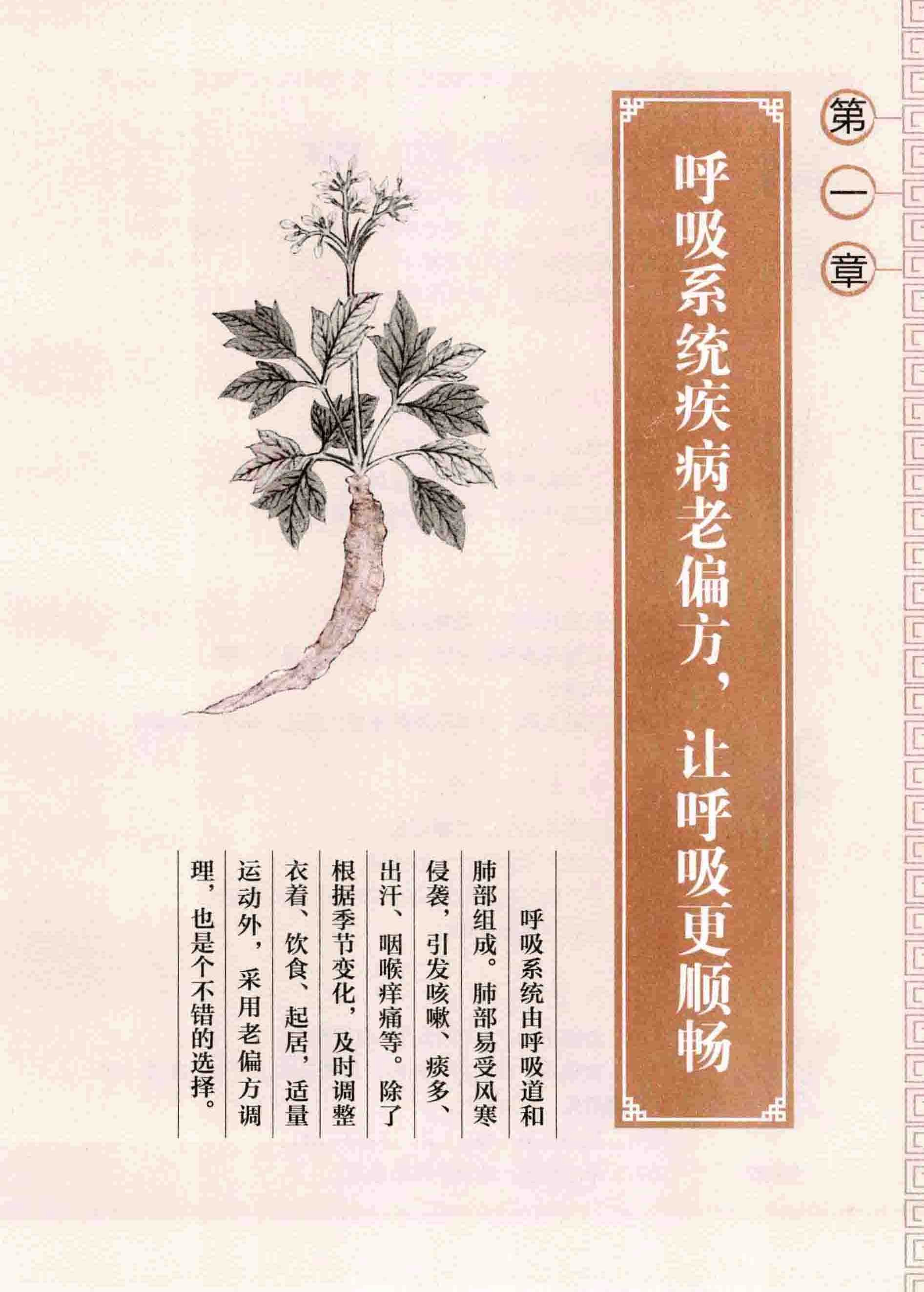 《很老很老的老偏方：中老年百病对症奇效方》【PDF】【38.9MB】