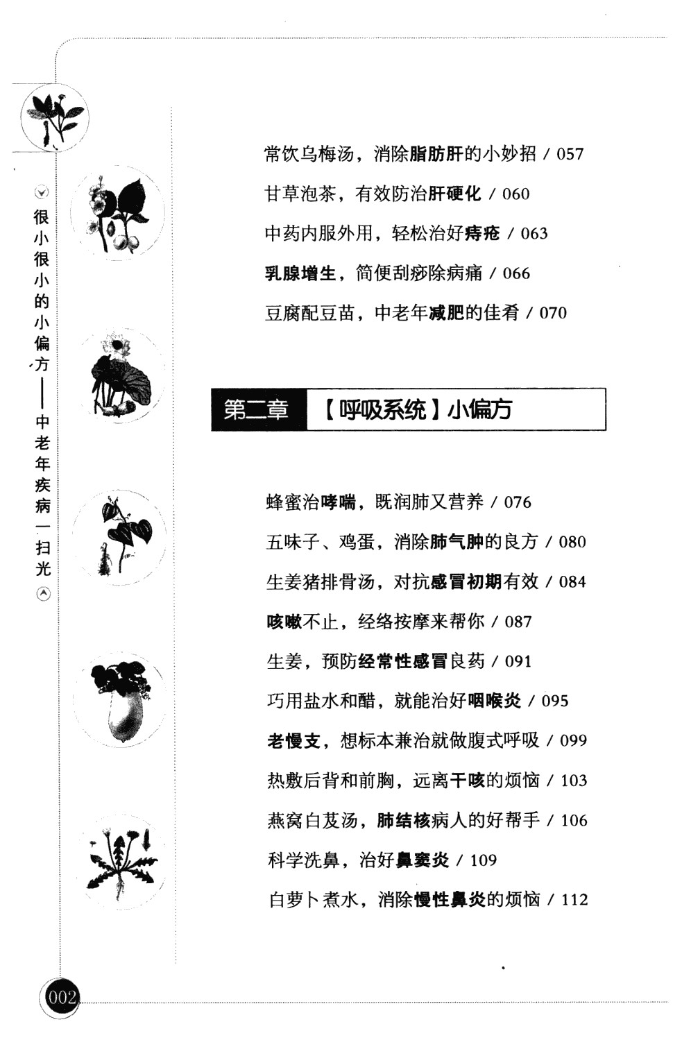 《很小很小的小偏方：中老年疾病一扫光》中医疗法，传统良方【PDF】【25MB】