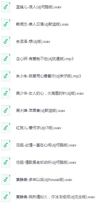 《2025年4月抖音热门车载DJ歌曲无损合集》 [WAV/MP3] [13G]