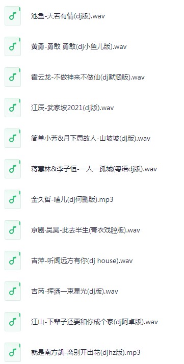 《2025年4月抖音热门车载DJ歌曲无损合集》 [WAV/MP3] [13G]
