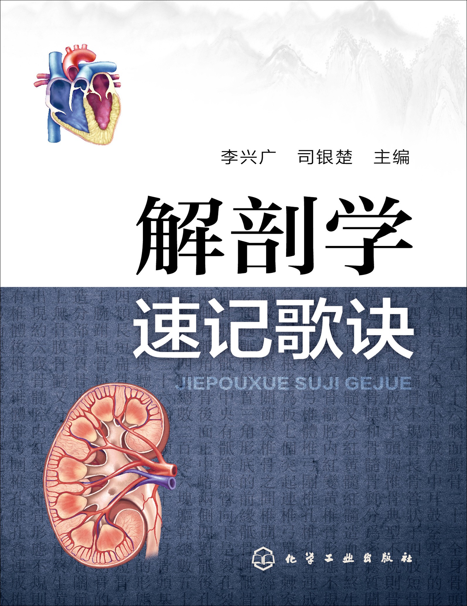《解剖学速记歌诀》医学生必读 以精炼的歌诀形式概括解剖学精要［PDF/6.47MB］