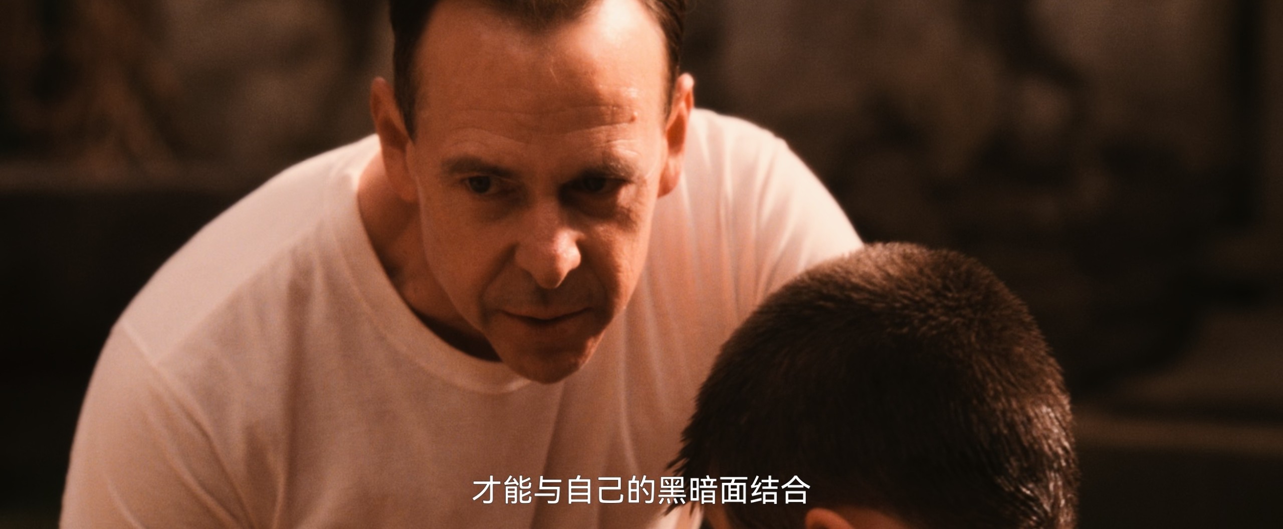 会计刺客（2016）4K  WEB-DL 内嵌多国字幕 11G 又名：会计师