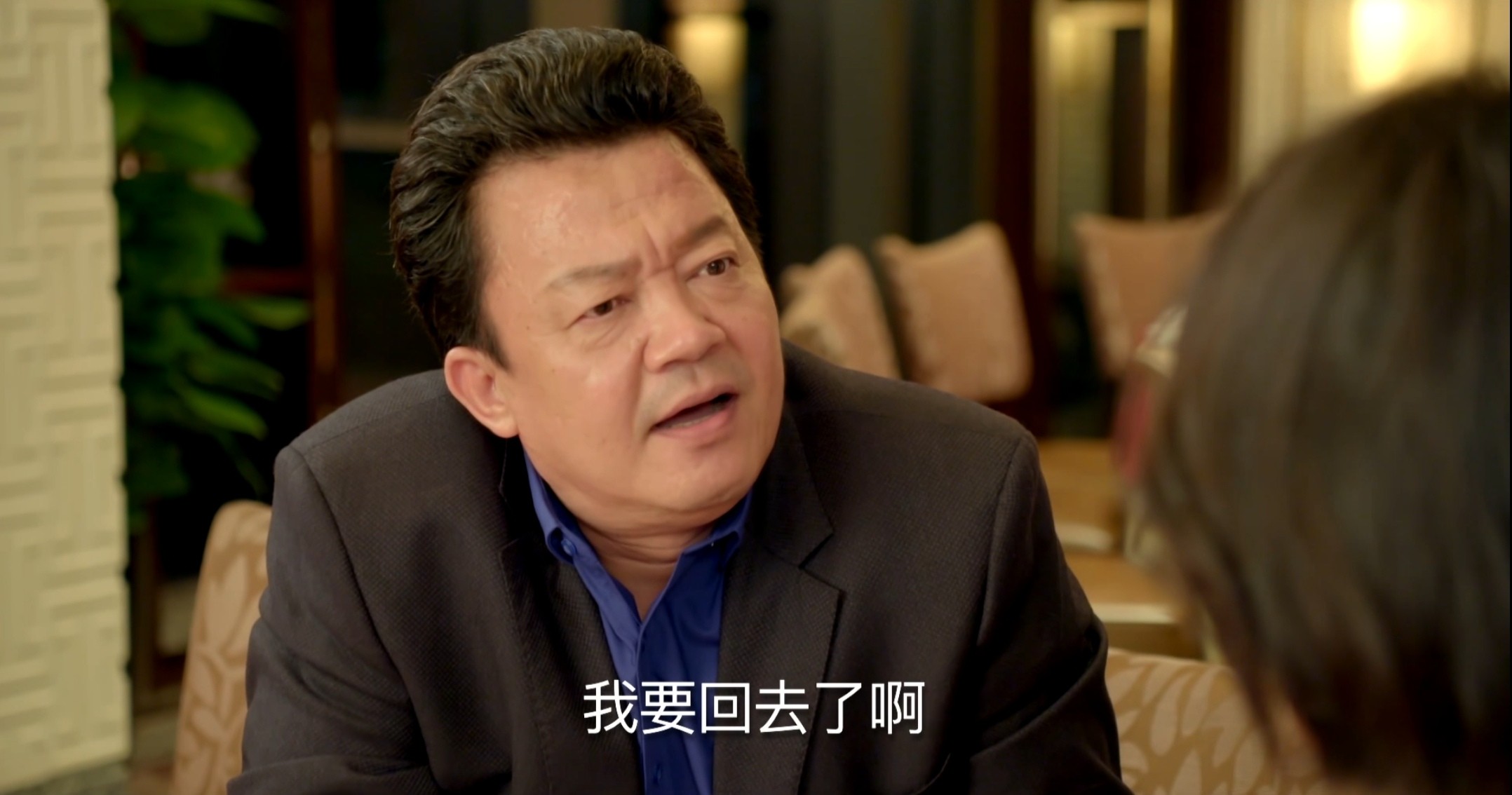 人间至味是清欢（2017）1080P超清 国语中字 2G/集左右 全集85.3G